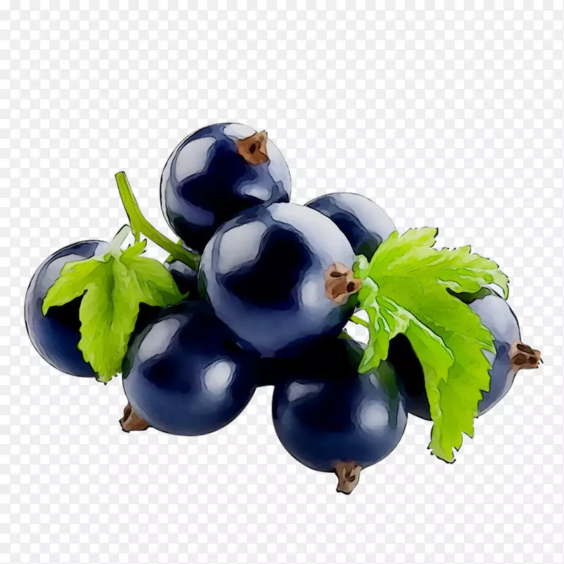 黑醋栗蓝莓食品