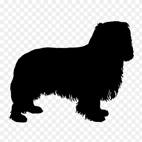 皮尔蒂牧羊犬，波美拉犬，英国牧羊犬品种