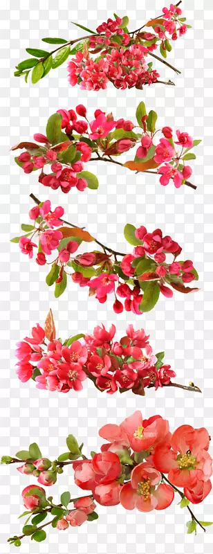 png图片图像桌面壁纸剪贴画.xchng-红色复古花卉