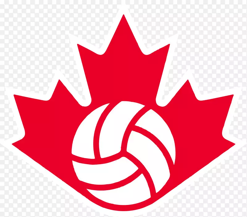 加拿大男子排球队帕克门排球俱乐部米尔顿青年排球俱乐部-加拿大米尔顿边缘排球之家-排球
