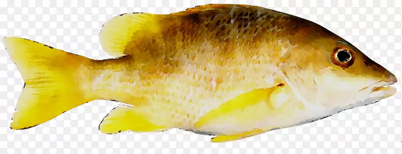 png图片图像剪辑艺术CMYK彩色模型鱼