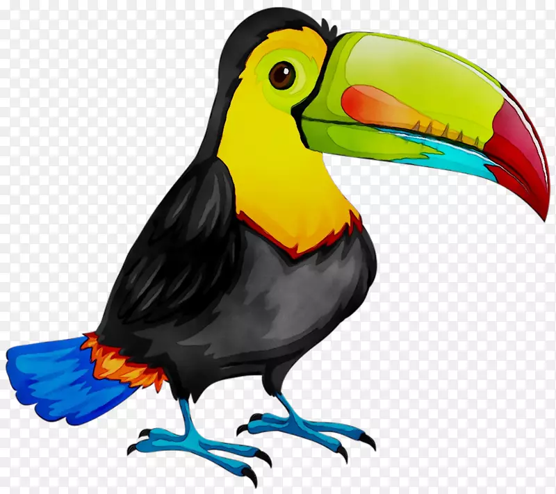 鸟类剪贴画插图图片