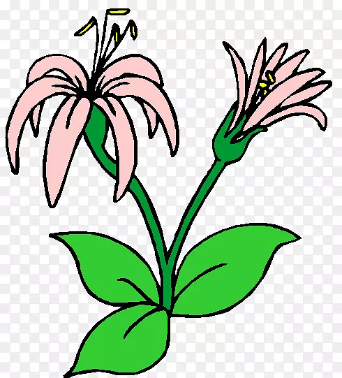 花卉设计切花植物茎叶草本植物