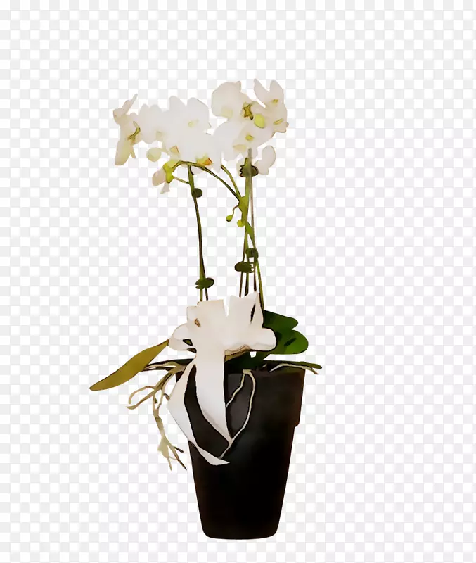 飞蛾兰花设计花瓶切花