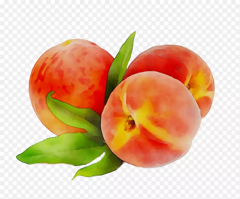 桃子食品静物摄影