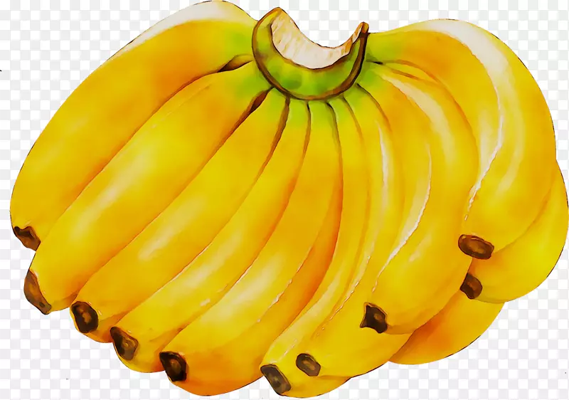 png图片卡文迪什香蕉图片剪辑艺术