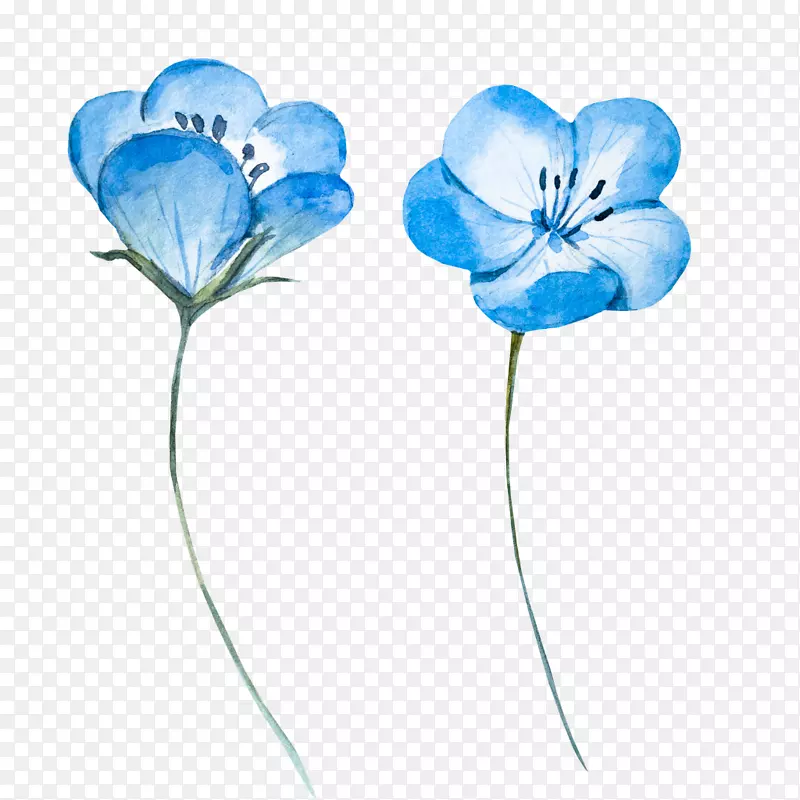 水彩：花卉水彩画图形图像-花
