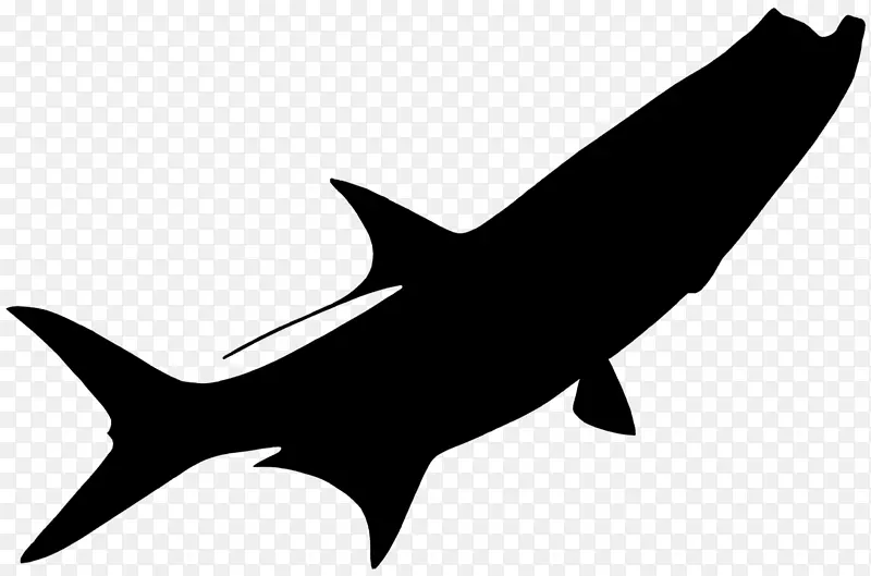 安魂利鲨鱼剪贴画动物线