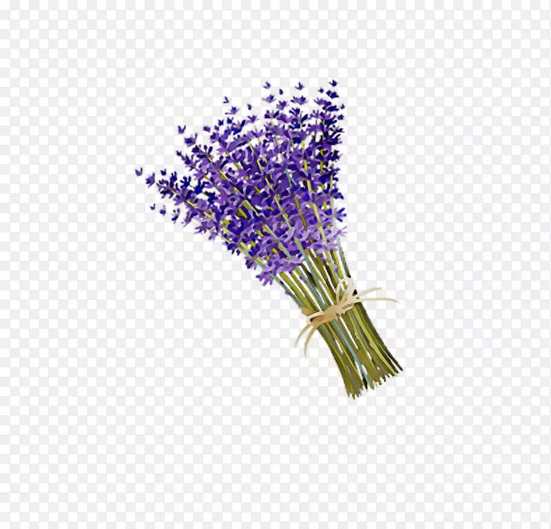 薰衣草