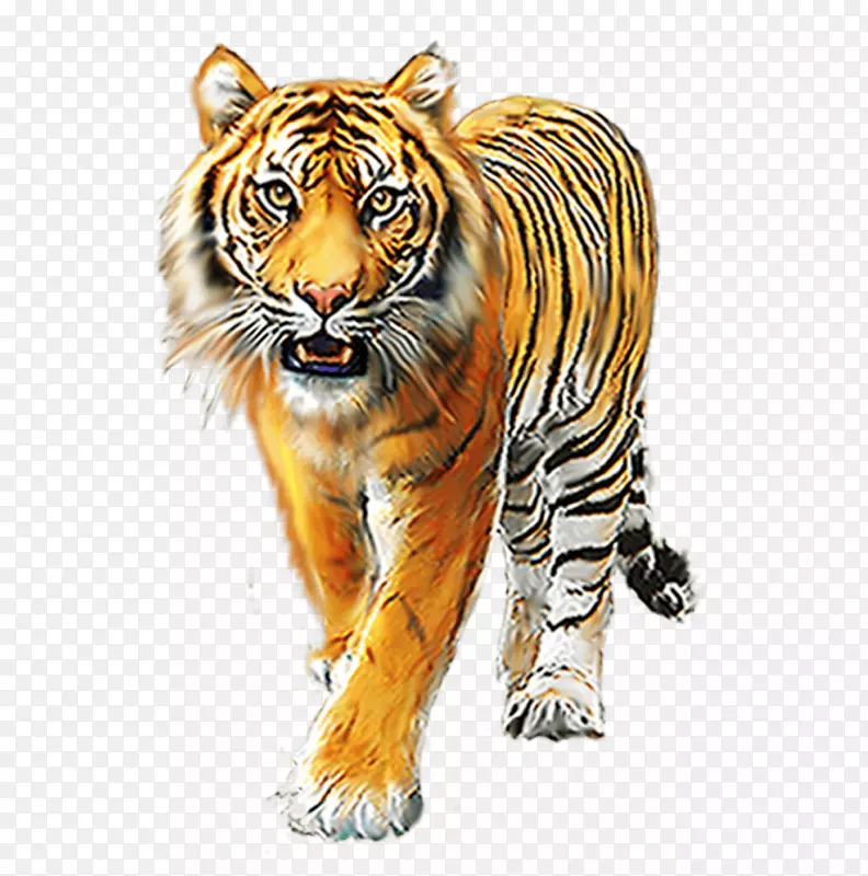 TIGERpng图片图像狮子PSD-Tiger