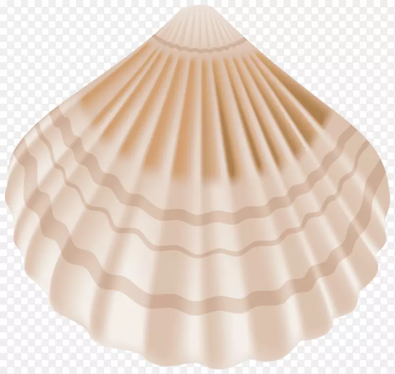 贝壳夹艺术png图片图像透明度.贝壳