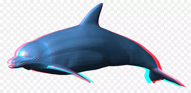 png图片剪辑艺术图像海豚透明度海豚