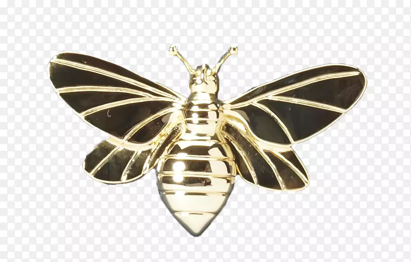 蛾类昆虫珠宝膜装饰