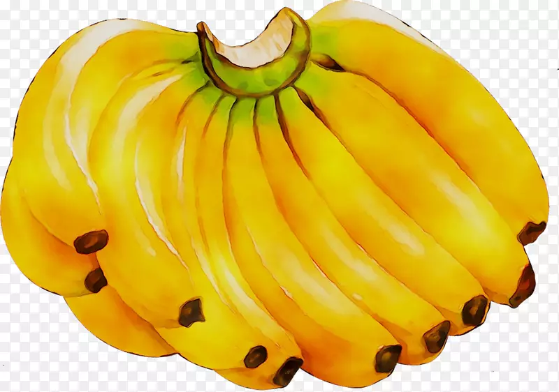 香蕉png图片剪辑艺术图形图像