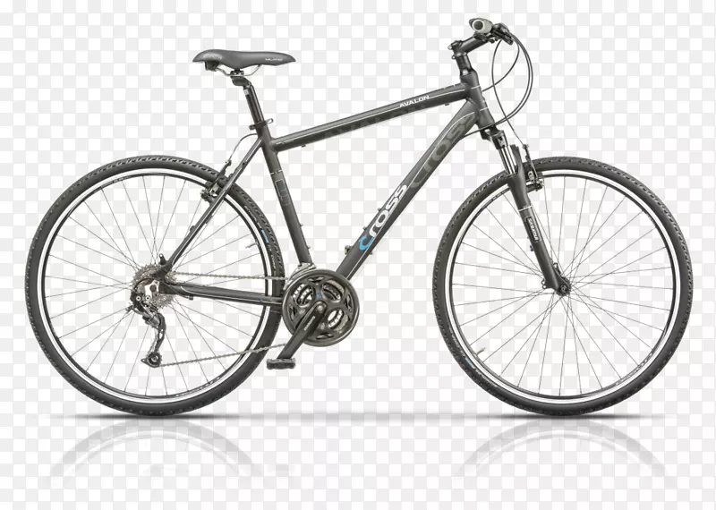 自行车店，自由轮自行车店，威望仿制自行车有限责任公司混合自行车-自行车
