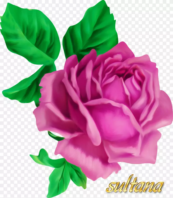 花卉设计花束艺术花园玫瑰-花