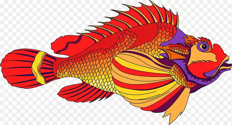 插图鱼红.m鱼