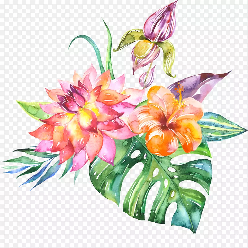 水彩：花卉水彩画花束水彩画花卉设计