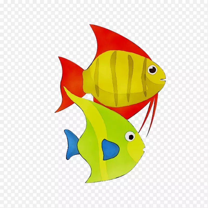 黄色海洋生物鱼类动物