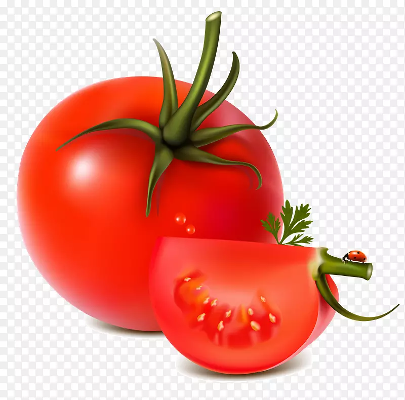 蔬菜色拉番茄汁夹艺术蔬菜png图片.蔬菜