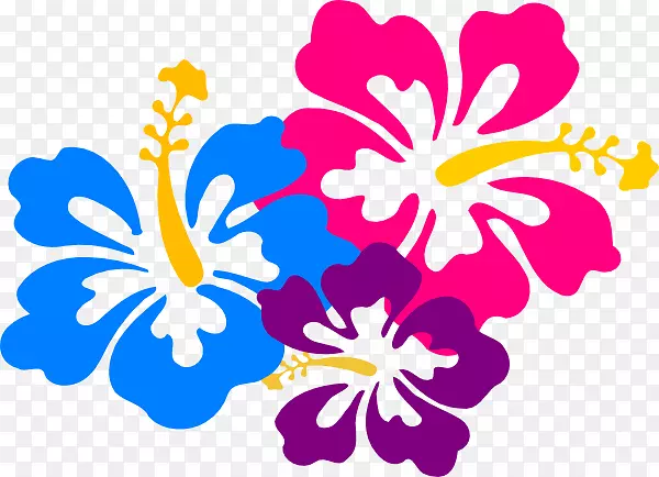 插画夏威夷花卉图像绘图-梅格图形