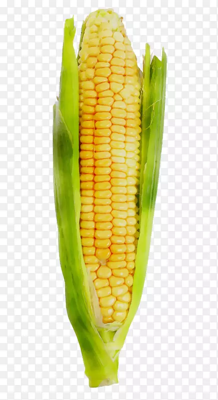 玉米对玉米的膳食补充剂甜玉米仁