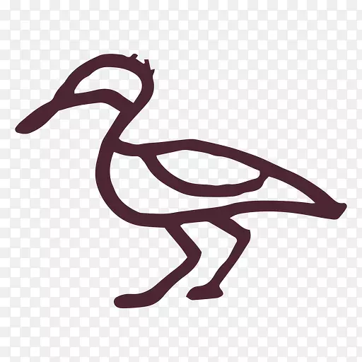 鸭鹅图形野鸭-鸟