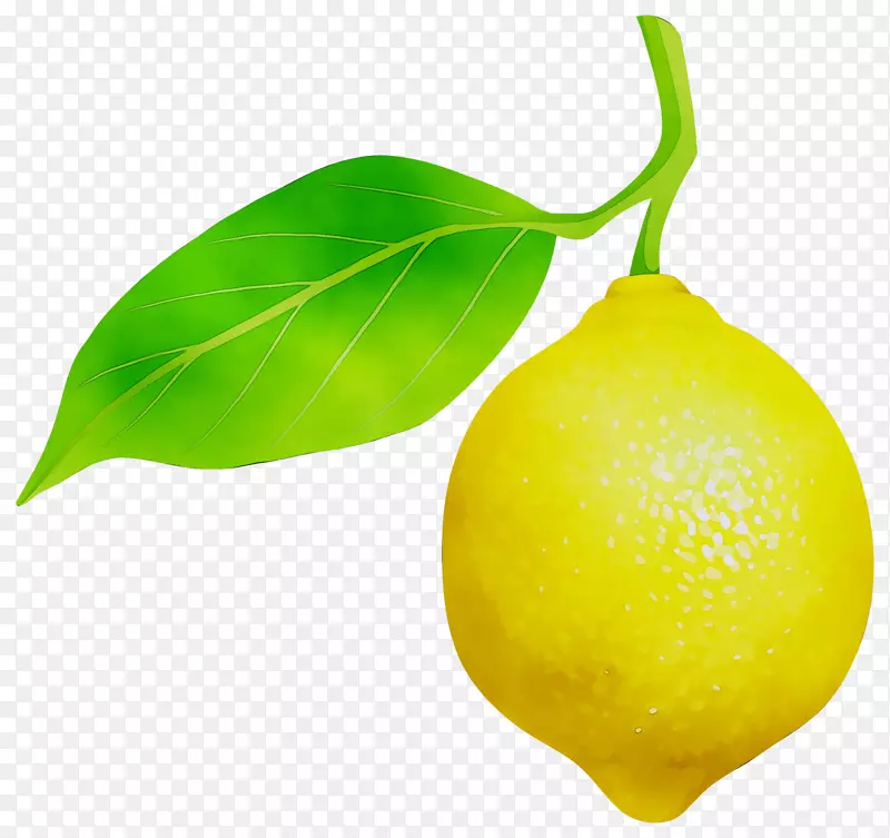 柠檬香橙