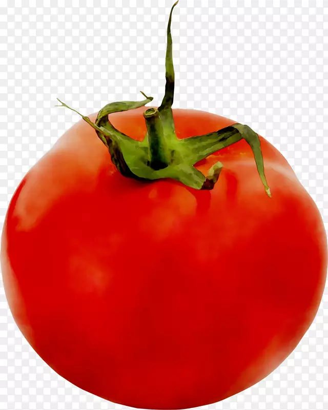 李子番茄灌木丛番茄减肥食品
