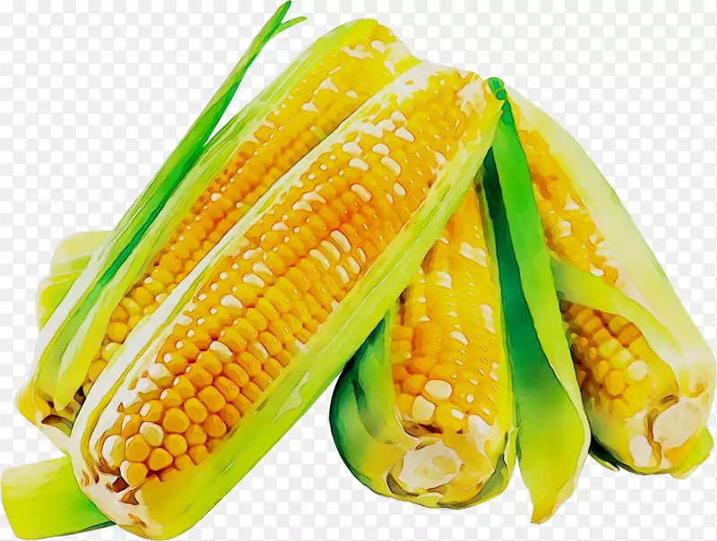 商业经济新闻上的玉米