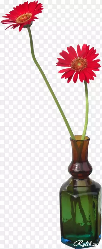 特兰士瓦雏菊花瓶花束