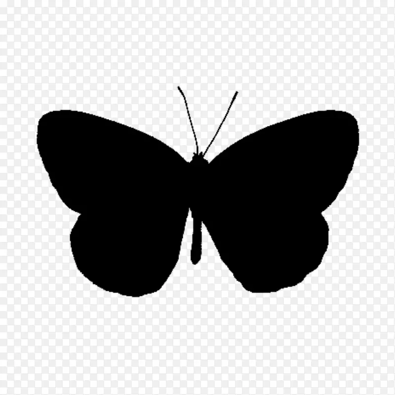 毛茸茸的蝴蝶，剪贴画线，黑色的m