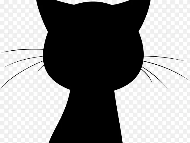 黑猫胡须，家用短毛猫爪