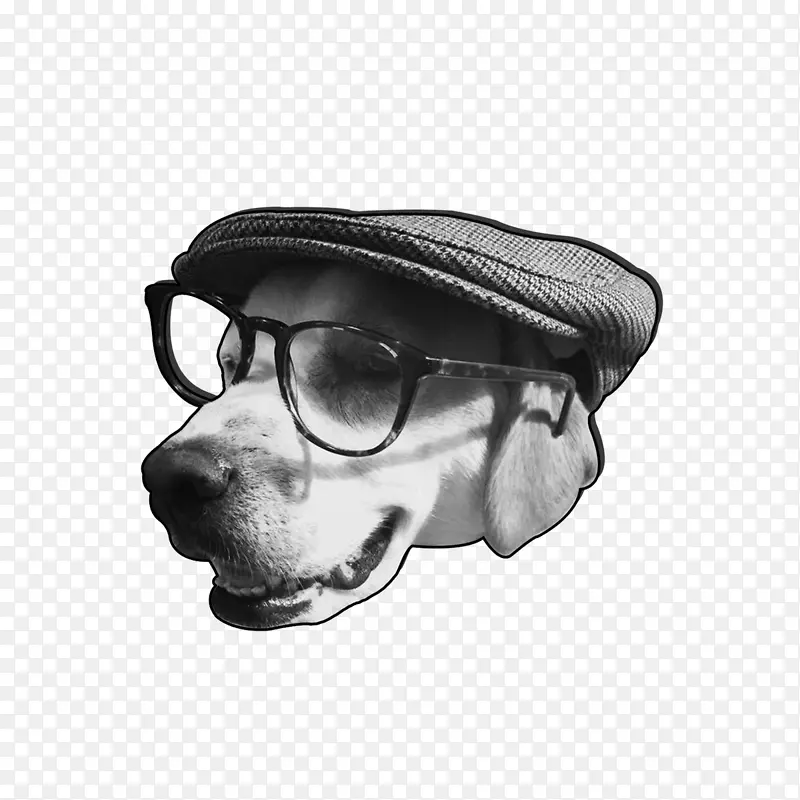 眼镜狗鼻子护目镜-眼镜