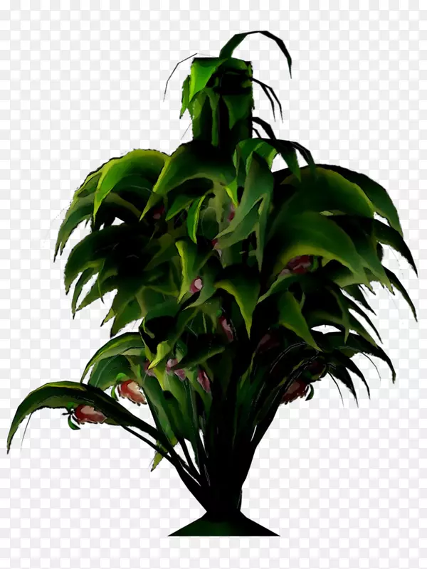 棕榈树花盆植物叶