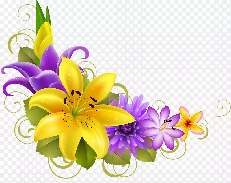 边框花卉设计花卉剪贴画png图片