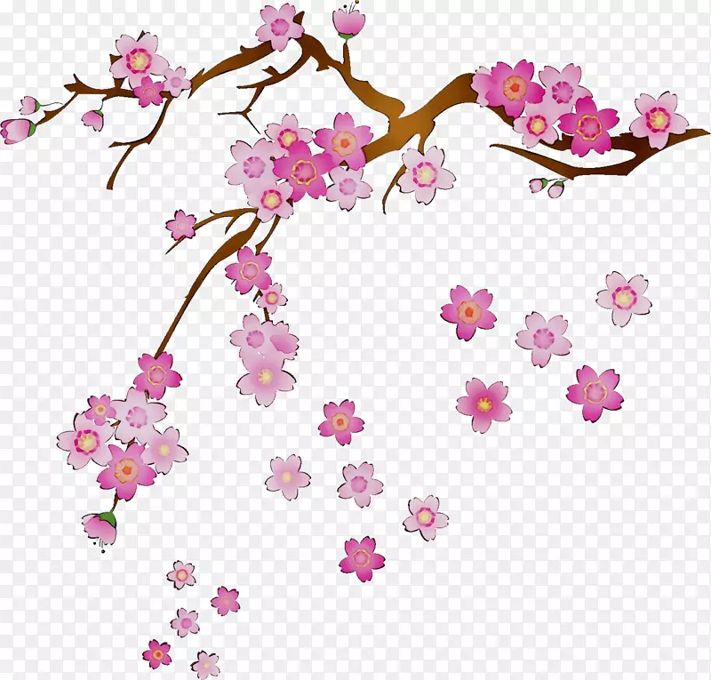 樱花纸枝设计
