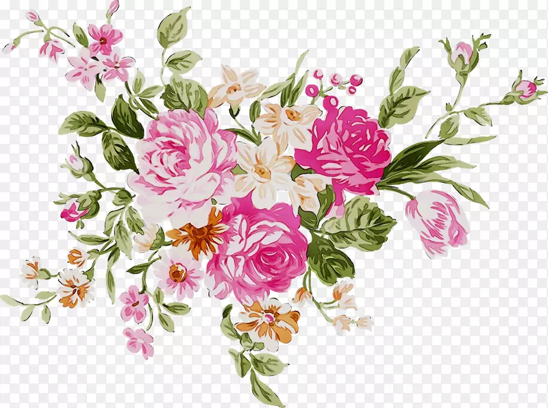 花园玫瑰多花玫瑰图案粉红色卷心菜玫瑰