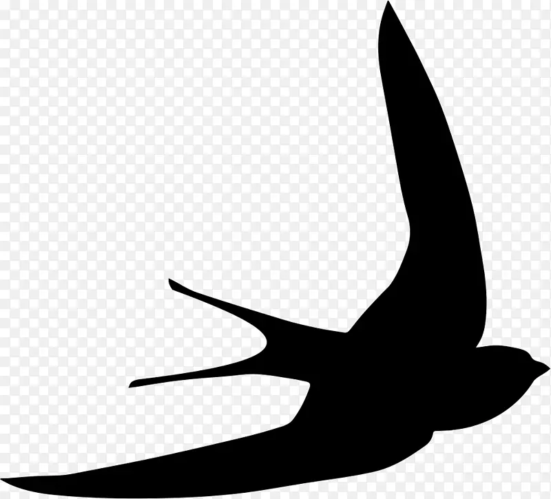 鸟类png图片可伸缩图形计算机图标.鸟