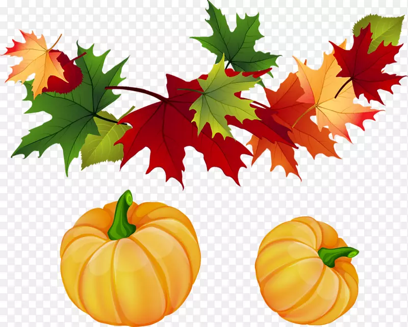 秋天的剪贴画秋天的叶子颜色形象-秋天