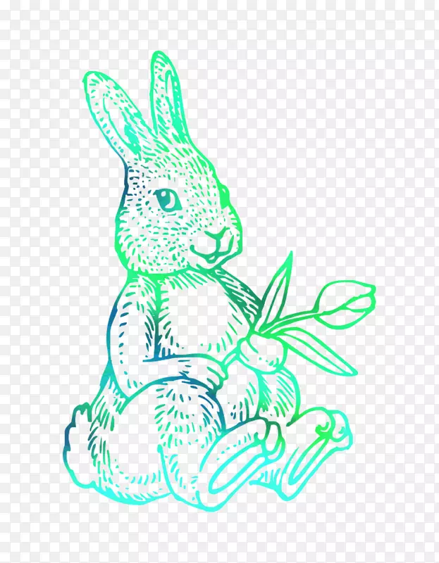 家养兔子复活节兔子剪贴画