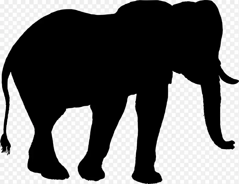 印度象非洲象剪贴画
