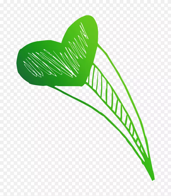 叶绿色鞋类产品设计植物茎