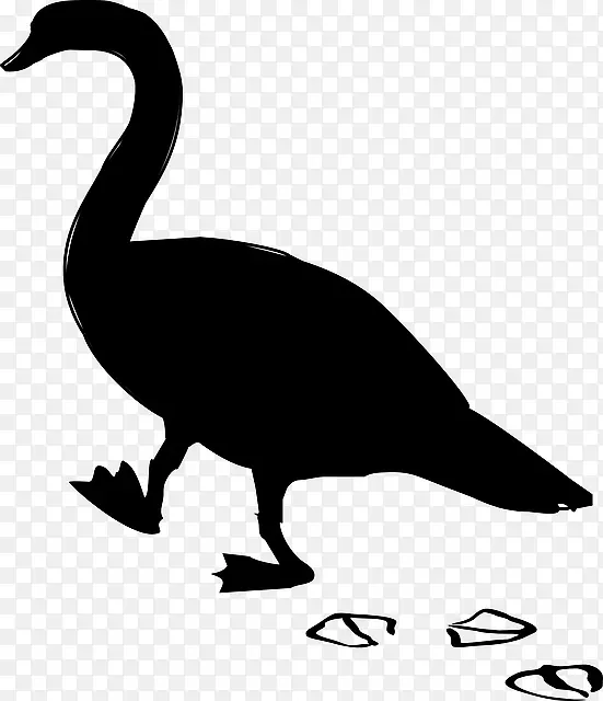 鸭鹅夹艺术家禽动物