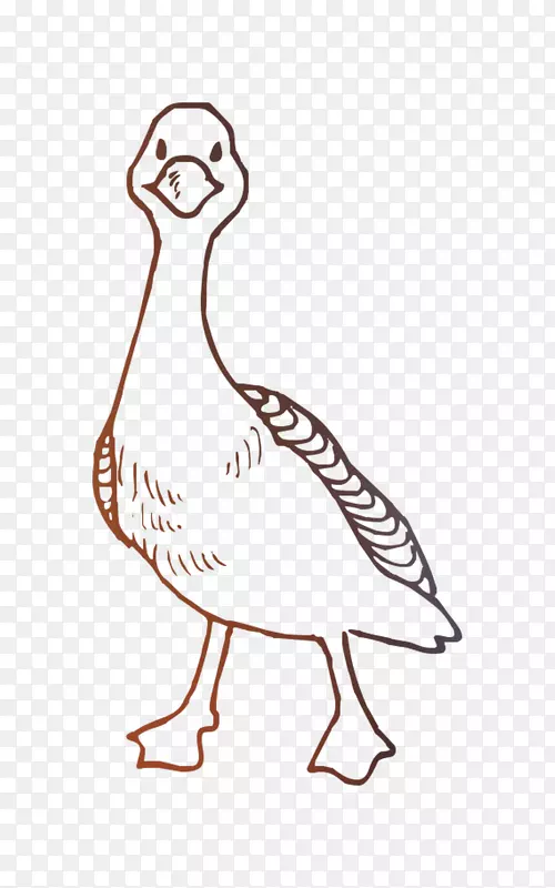 鸭鸡卡通设计插图