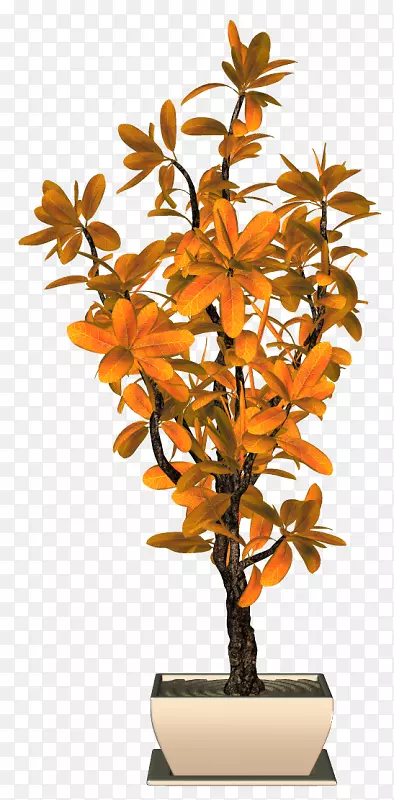 花盆室内植物橙S.A.-燃烧室标志