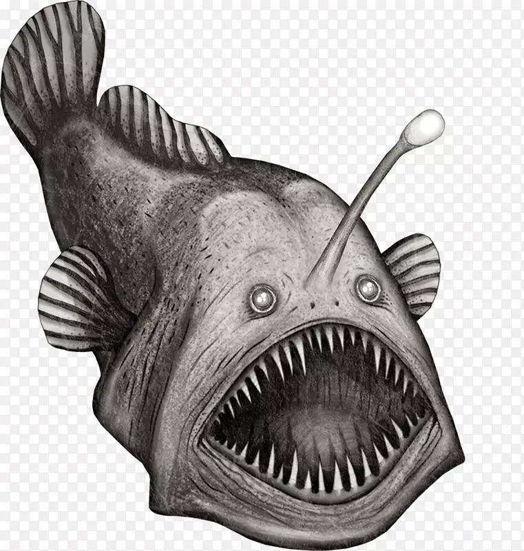剪贴画钓鱼深海鱼插图-鱼