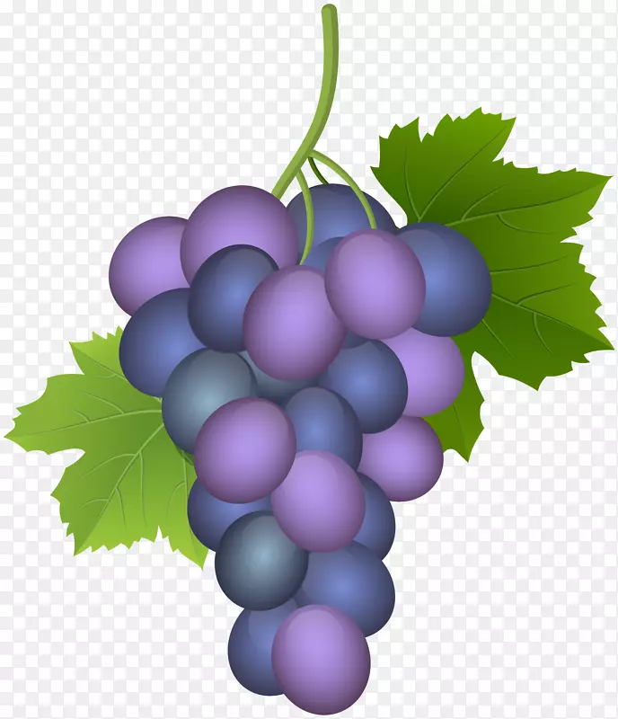 普通葡萄酒必须与葡萄-葡萄相协调。