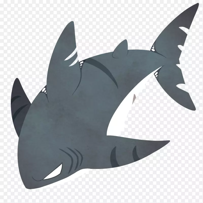 鲨鱼图片网站万维网鲨鱼