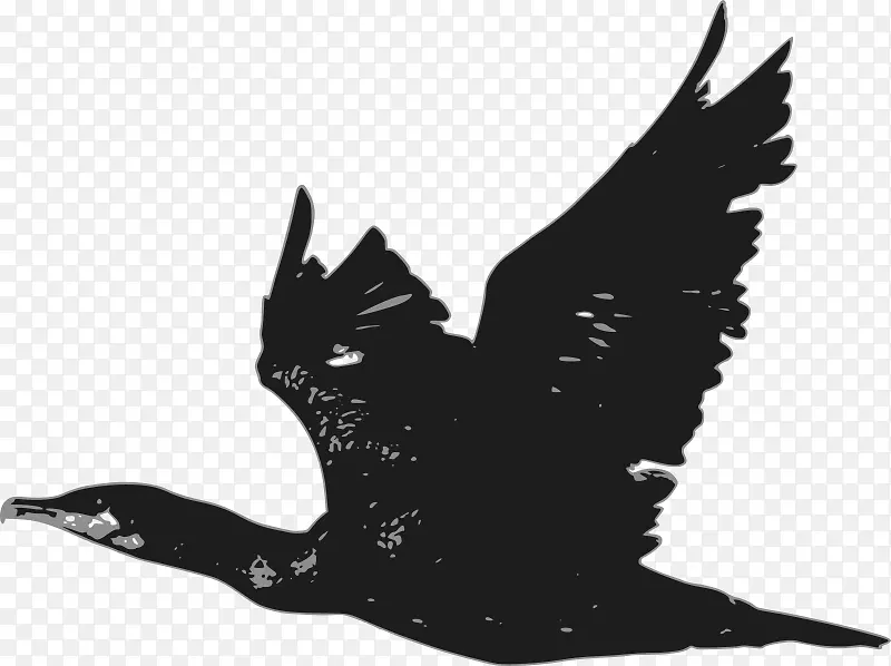 喙鸟鹈鹕png图片剪辑艺术